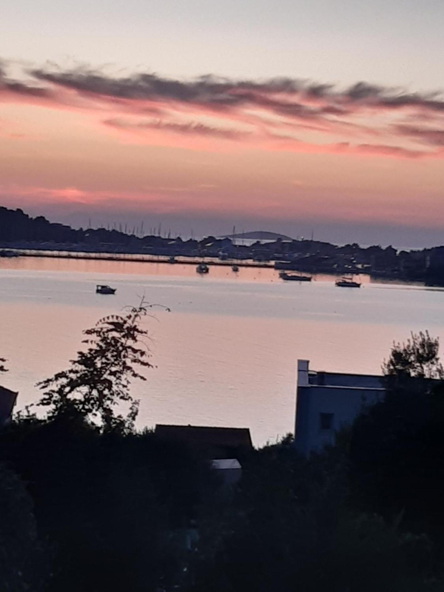 Varazdinci Рогозница Экстерьер фото